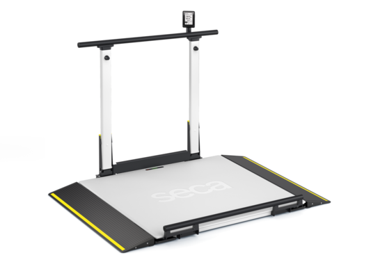 seca XLine Hold - EMR-validated wheelchair scale with handrail and optional third ramp #0