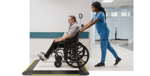 Multifunctional and wheelchair scales