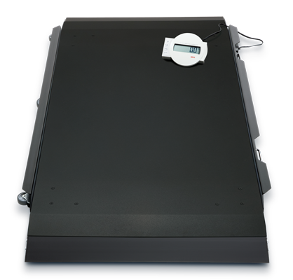 seca 656 - EMR-validated platform scale for stretchers #0