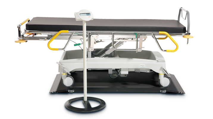 seca 656 - EMR-validated platform scale for stretchers #2