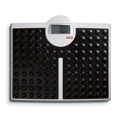 Seca 656 Medical Platform Scale 800 lb x 0.2 lb Oversized Platform