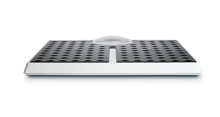 seca 813 - Flat scale with high capacity #1