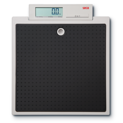 Seca 876 Flat Scales