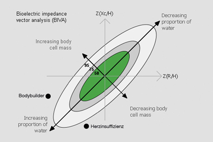 Bioelectrical Impedance Analysis: Definition and Tips