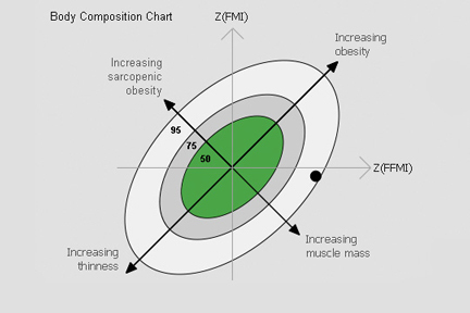 body composition chart